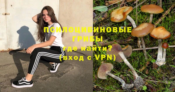 соль курить ск Дмитриев