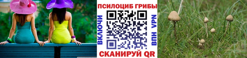 Псилоцибиновые грибы мухоморы  Задонск 